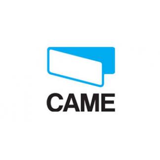 Came
